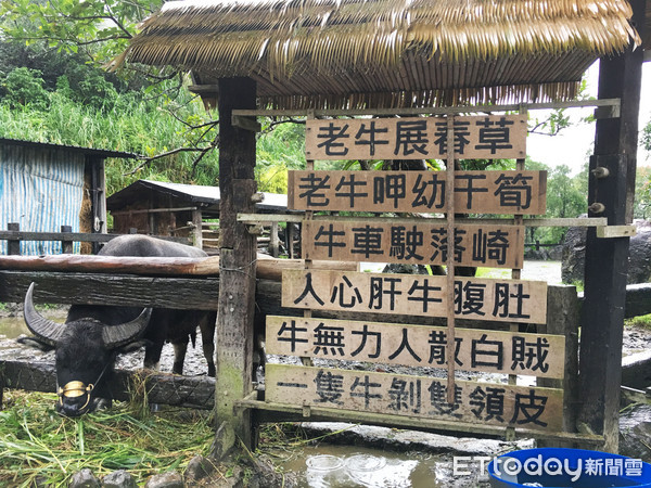 ▲宜兰头城农场。（图／记者张舒芸摄）