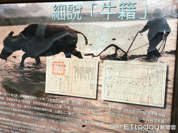 ▲宜兰头城农场。（图／记者张舒芸摄）