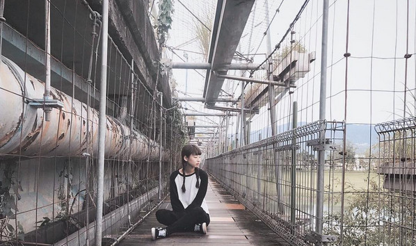 庆和桥津梅栈道(图/网友daidaisylin提供,请勿随意翻拍,以免侵权。)