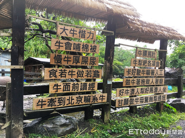 ▲宜兰头城农场。（图／记者张舒芸摄）
