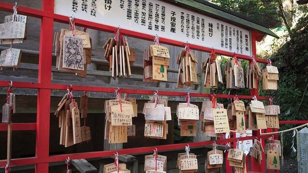 ▲2018海外跨年倒数旅行澳洲雪梨介绍。（图／Tripbaa趣吧！达人带路提供）