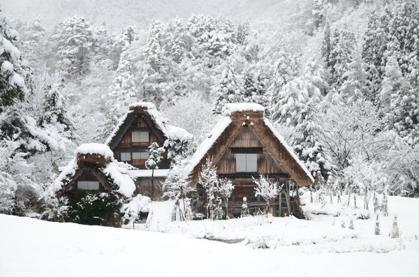 合掌村成童话屋（图／白川乡合掌村）