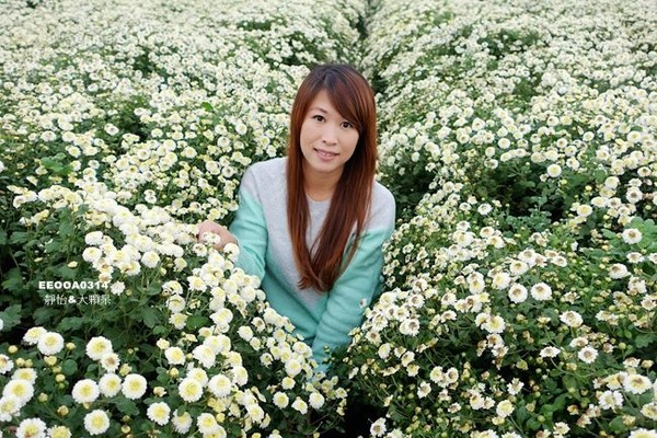 ▲2017铜锣杭菊节。（图／静怡&大颗呆の亲子.旅游.美食提供）
