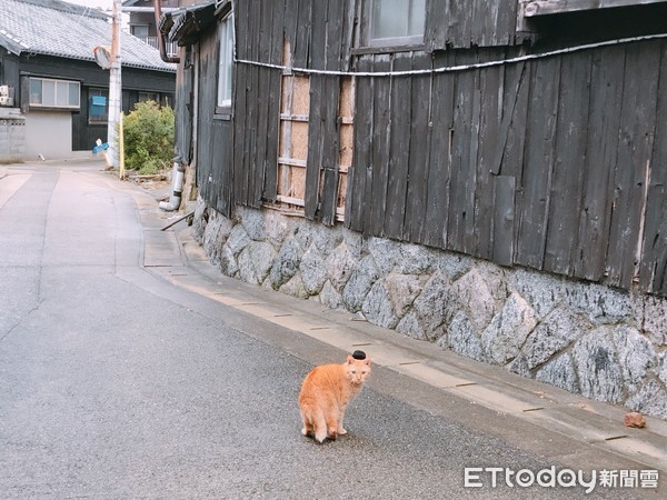 ▲日本爱知小离岛，佐久岛跳岛轻旅行。（图／记者赖文萱摄）