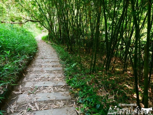 ▲苗栗大坪左岸亲子露营地。（图／何师父提供）