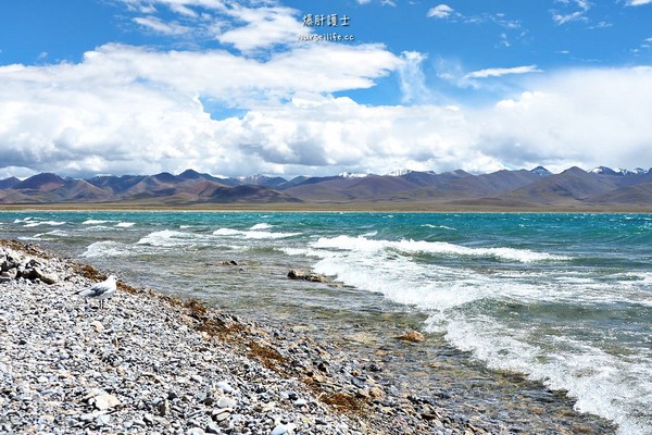 ▲中国西藏旅游。(图/爆肝护士提供)