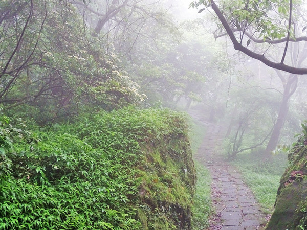 ▲台北秘境阳明山梦幻湖。（图／葛瑞丝提供）
