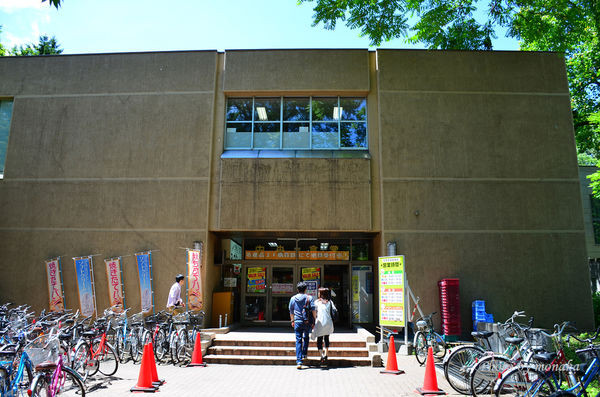 北海道大学。(图/摩那卡)