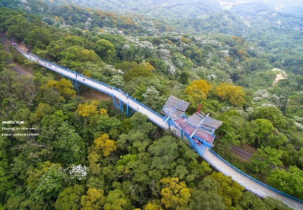 ▲苗栗铜锣湾天空步道（图／摄影师《飞翔在天际》授权提供，请勿随意翻拍。） 