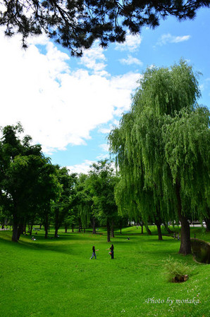 北海道大学。(图/摩那卡)