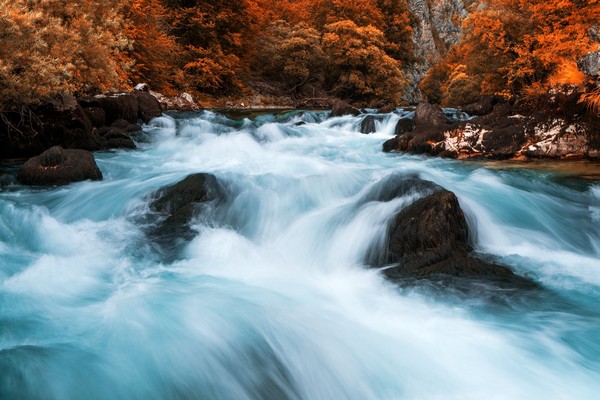 克斯蒙秋诗篇篇。（图／shutterstock.com）