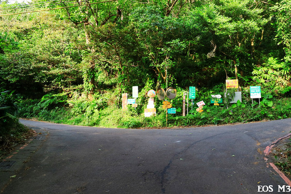 ▲台北101夜景虎山峰。（图／小白鲸摄）