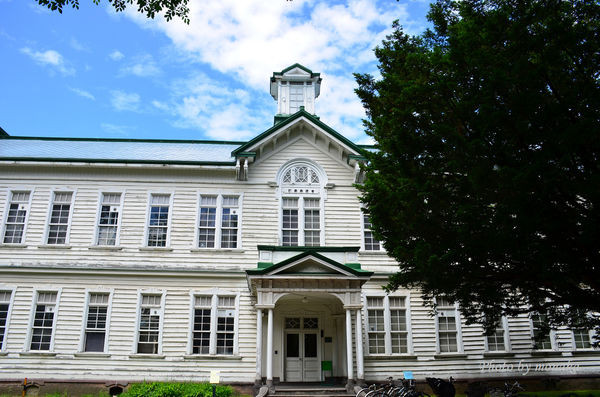 北海道大学。(图/摩那卡)