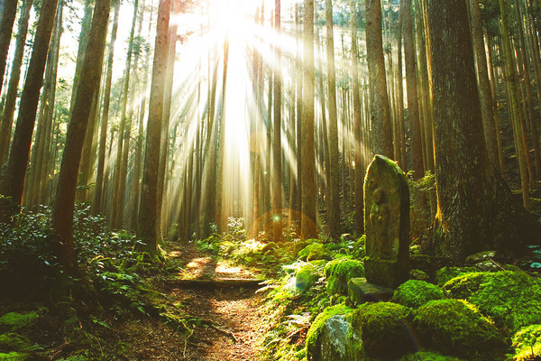 ▲秋枫揽胜泡汤访古，慢游日本纪伊半岛丰润心灵。（图／翔笙旅游提供）