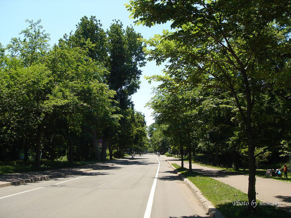 北海道大学。(图/摩那卡)