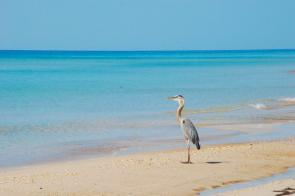 ▲全球6大生态旅游目的地。（图／Booking.com提供）