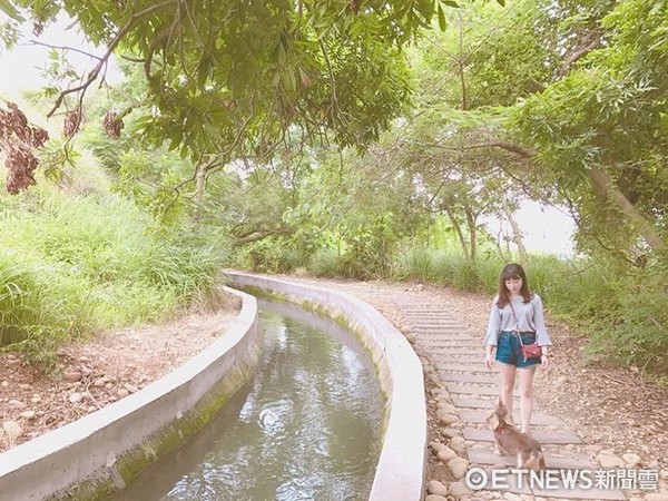 ▲台中知高圳步道。(图/网友abbie761128授权,请勿随意翻拍,以免侵权。)