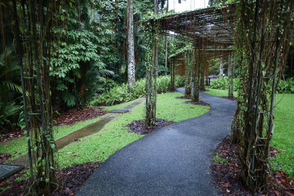 新加坡旅游-新加坡植物园(图/记者林世文摄)