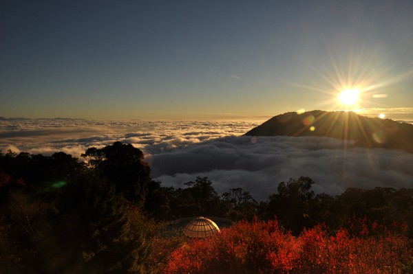 大雪山枫红（图/取自大雪山森林游乐区官网)