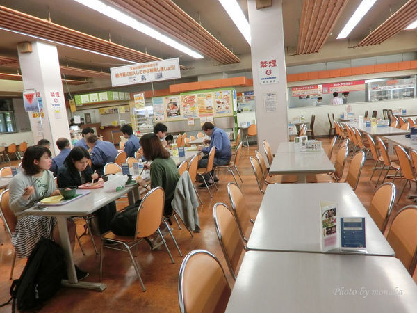 北海道大学。(图/摩那卡)