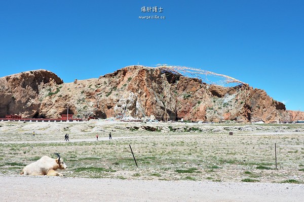 ▲中国西藏旅游。(图/爆肝护士提供)