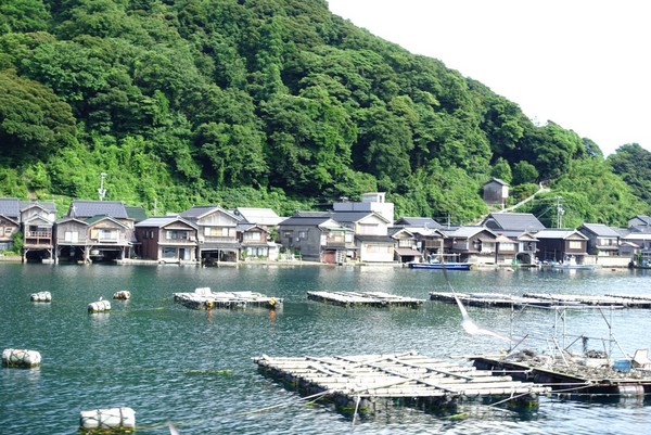 ▲日本京都赏枫。（图／凤凰旅行社提供）