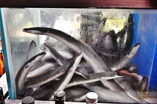 ▲大江户町鳗屋。（图／阿mon提供）