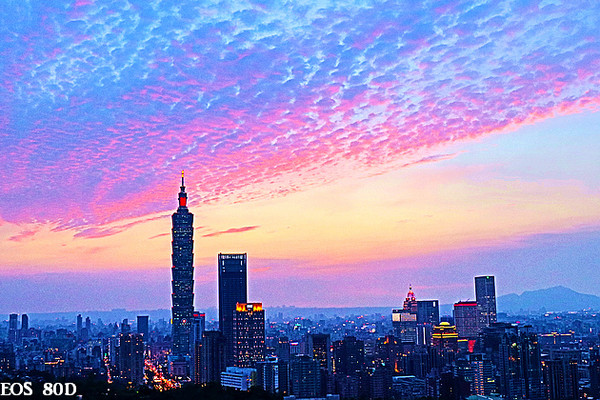 ▲台北101夜景虎山峰。（图／小白鲸摄）