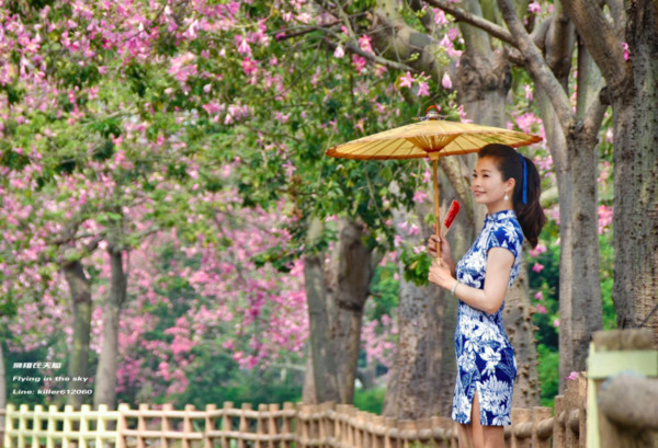 ▲彰化北斗河滨公园美人树花海。（图／摄影师《飞翔在天际》提供，请勿随意翻拍，以免侵权。。）