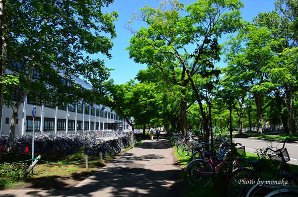 北海道大学。(图/摩那卡)