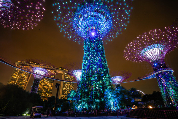 新加坡旅游-滨海湾花园温室:擎天树、灯光秀夜景(图/记者林世文摄)