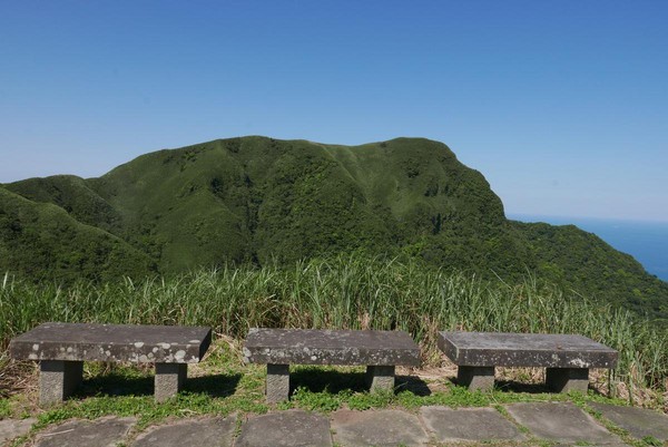 不止登高望海　还能与牛牛野餐