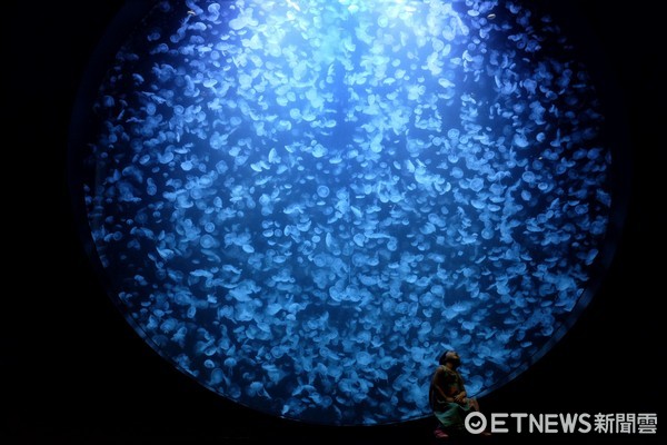 ▲加茂水族馆。（图／记者于佳云摄）