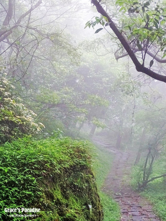 ▲台北秘境阳明山梦幻湖。（图／葛瑞丝提供）