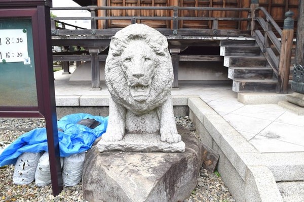 东京都葛饰区　证愿寺。（图／matcha提供）