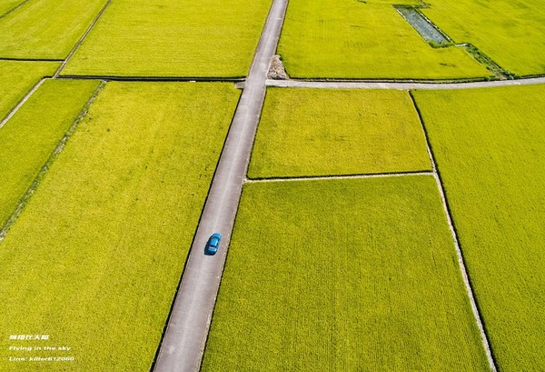 ▲台中外埔忘忧谷（图／摄影师《飞翔在天际》授权提供）
