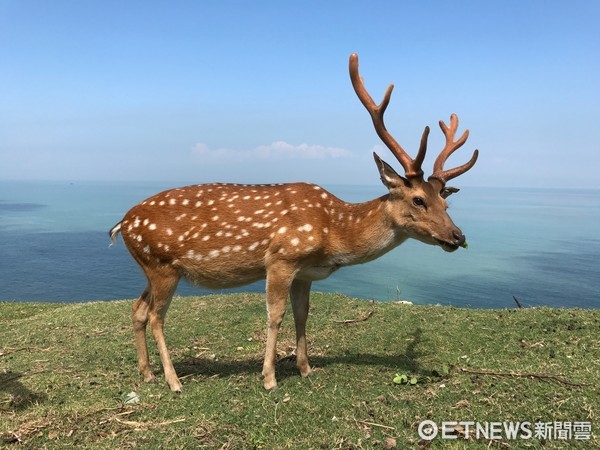 ▲马祖大Wu岛。(图/记者陈涵茵摄)