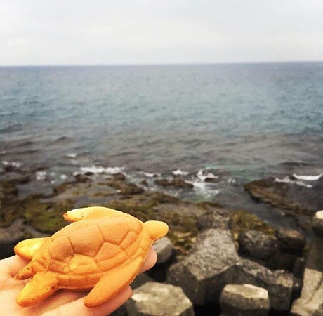 ▲小琉球 海龟烧 Sea turtle pancake。（图／IG@wujanejane提供，请勿任意翻摄以免侵权）
