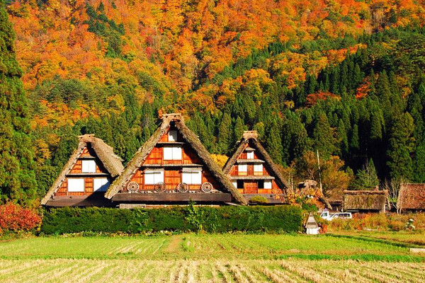 ▲不一样的枫红立山、黑部峡谷、上高地、合掌村。（图／翔笙旅游）
