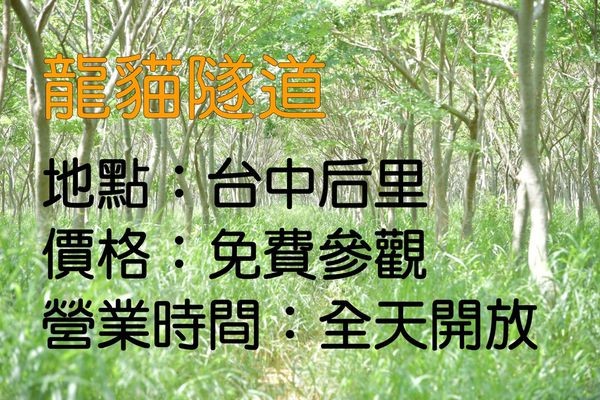 台中热门打卡景点。（图／SOLO的玩乐指南）