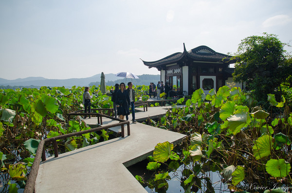 ▲杭州旅游 西湖十景。(图/Xavier元创主义提供)