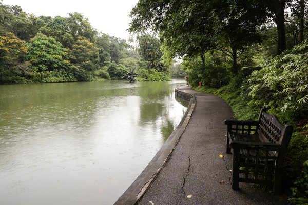 新加坡旅游-新加坡植物园(图/记者林世文摄)