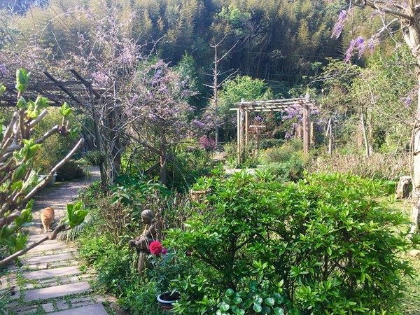 红蔷薇（图／翻摄自红蔷薇景观花园美食粉丝团）