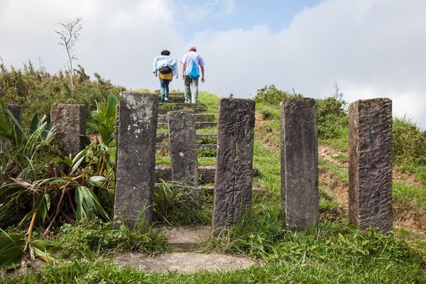 不止登高望海　还能与牛牛野餐