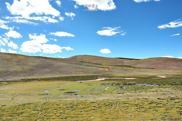 ▲中国西藏旅游。(图/爆肝护士提供)