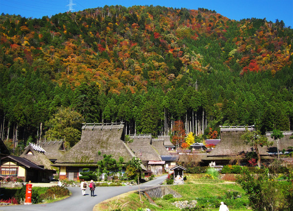 ▲日本京都赏枫。（图／凤凰旅行社提供）
