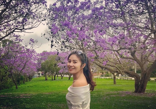 ▲澳洲布里斯本蓝花楹。(图/网友Yumi Chen提供,请勿随意翻拍,以免侵权)