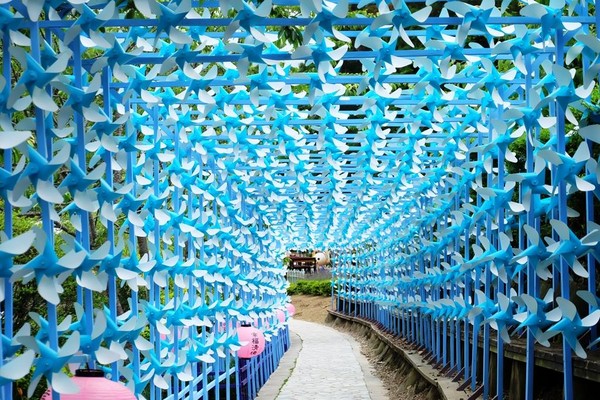 清境小瑞士花园风车节。（图／取自清境农场粉丝专页）