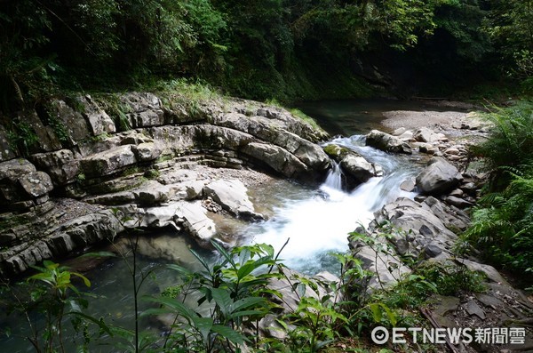 ▲坪林金瓜寮蕨类步道。（图／新北市政府提供）