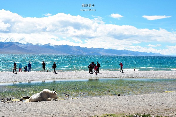 ▲中国西藏旅游。(图/爆肝护士提供)